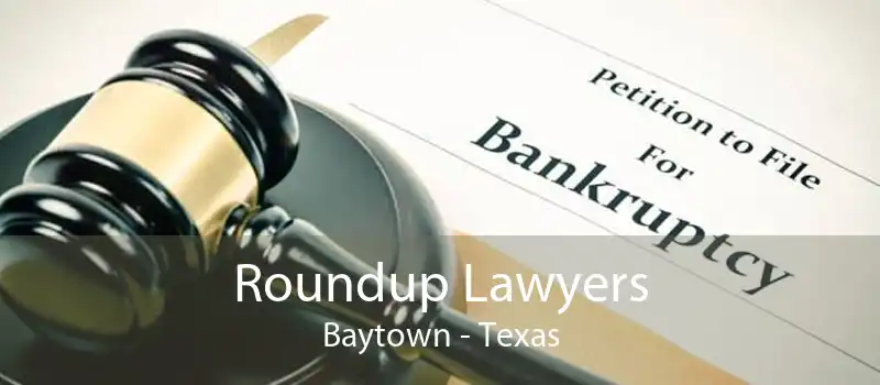 Roundup Lawyers Baytown - Texas