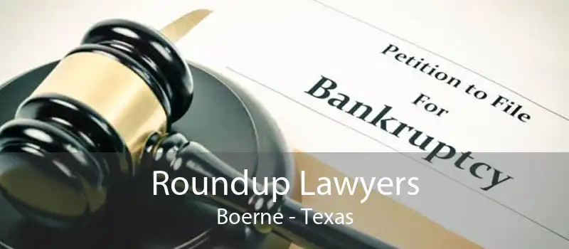 Roundup Lawyers Boerne - Texas