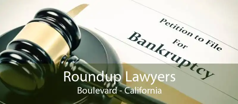 Roundup Lawyers Boulevard - California