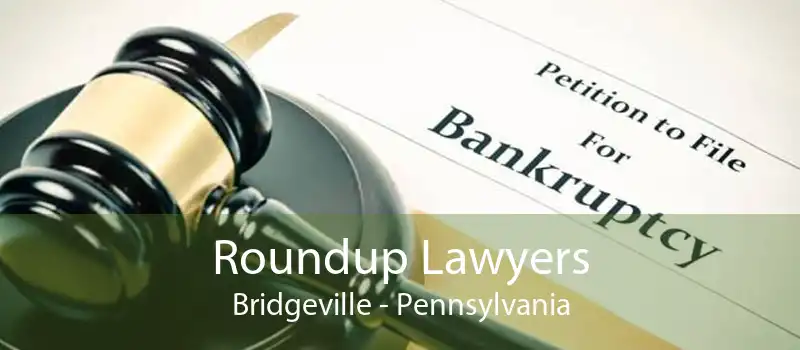 Roundup Lawyers Bridgeville - Pennsylvania