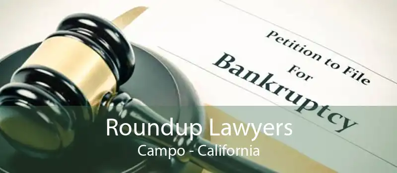 Roundup Lawyers Campo - California