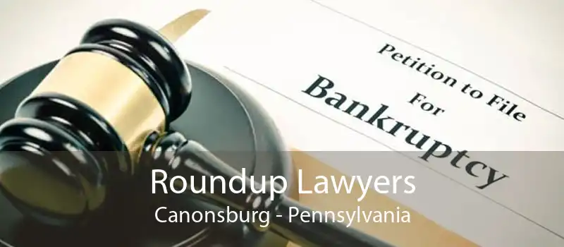 Roundup Lawyers Canonsburg - Pennsylvania