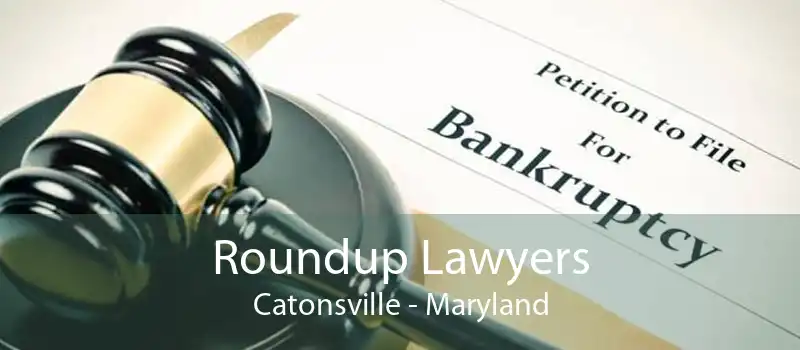 Roundup Lawyers Catonsville - Maryland