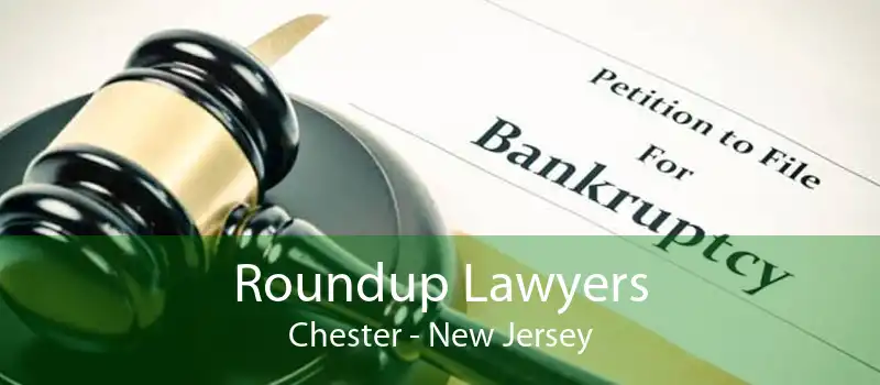 Roundup Lawyers Chester - New Jersey