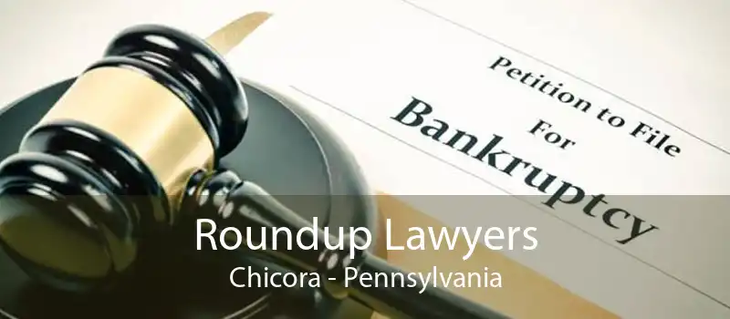 Roundup Lawyers Chicora - Pennsylvania