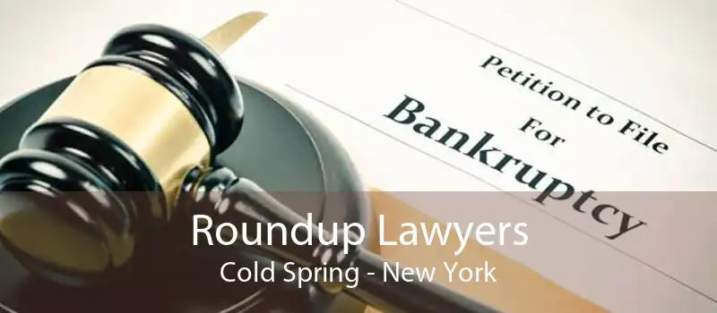 Roundup Lawyers Cold Spring - New York