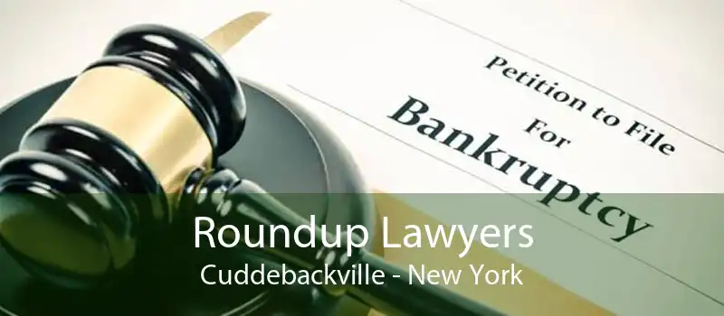 Roundup Lawyers Cuddebackville - New York