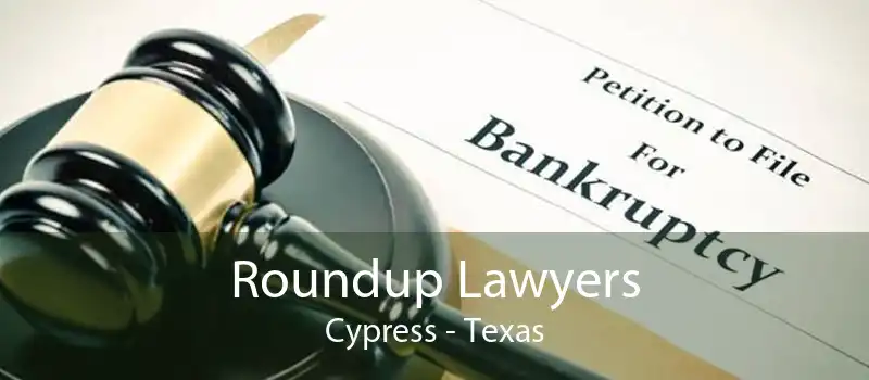 Roundup Lawyers Cypress - Texas