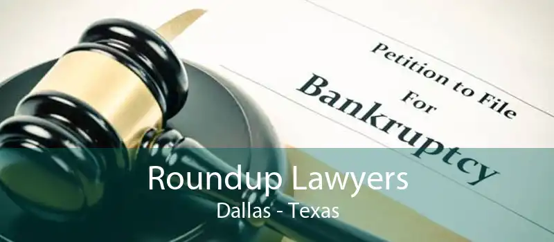 Roundup Lawyers Dallas - Texas