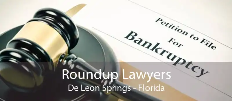 Roundup Lawyers De Leon Springs - Florida