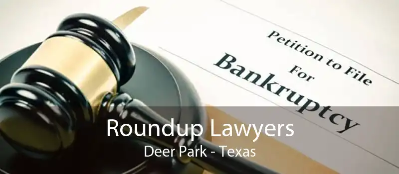 Roundup Lawyers Deer Park - Texas