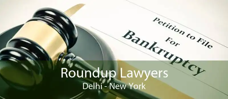 Roundup Lawyers Delhi - New York