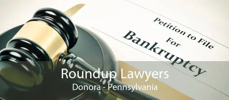 Roundup Lawyers Donora - Pennsylvania