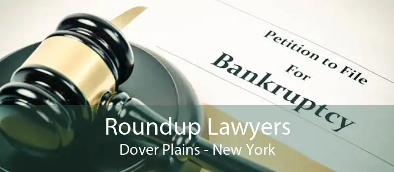 Roundup Lawyers Dover Plains - New York