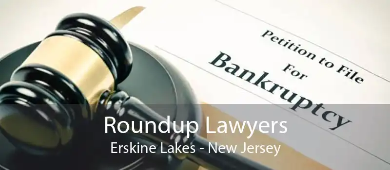 Roundup Lawyers Erskine Lakes - New Jersey