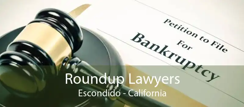 Roundup Lawyers Escondido - California