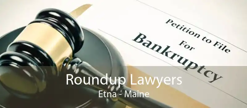Roundup Lawyers Etna - Maine