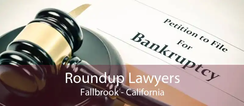 Roundup Lawyers Fallbrook - California