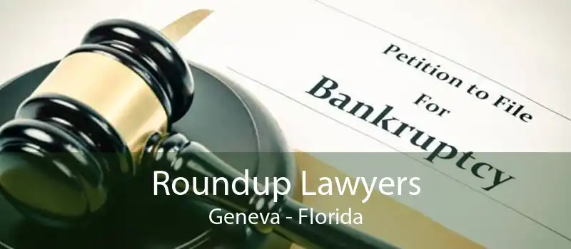 Roundup Lawyers Geneva - Florida