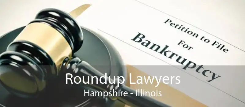 Roundup Lawyers Hampshire - Illinois