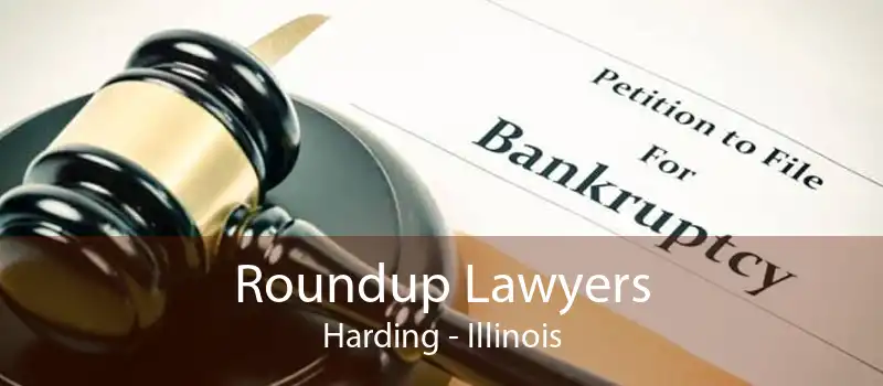 Roundup Lawyers Harding - Illinois