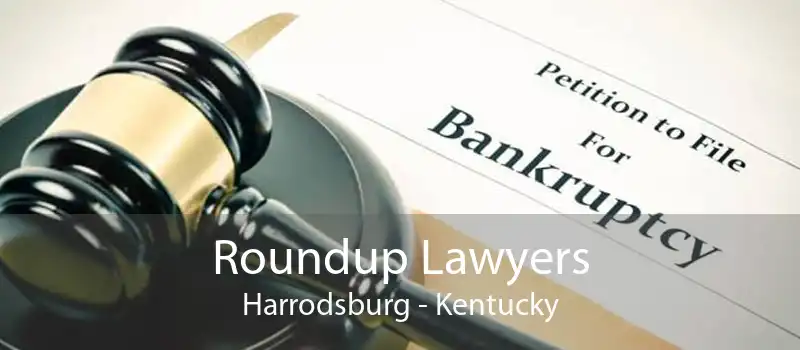 Roundup Lawyers Harrodsburg - Kentucky