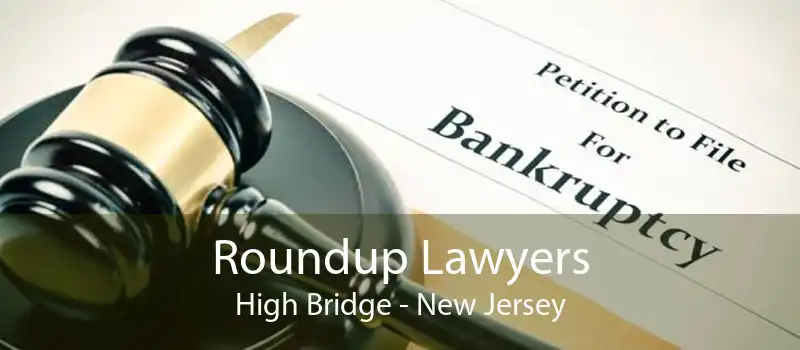 Roundup Lawyers High Bridge - New Jersey
