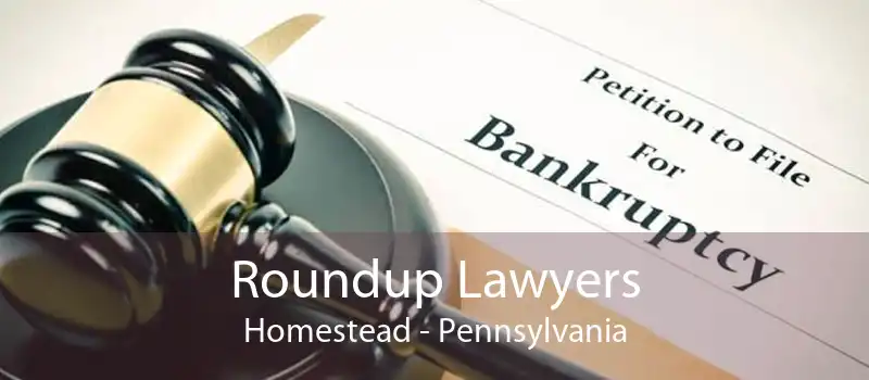 Roundup Lawyers Homestead - Pennsylvania
