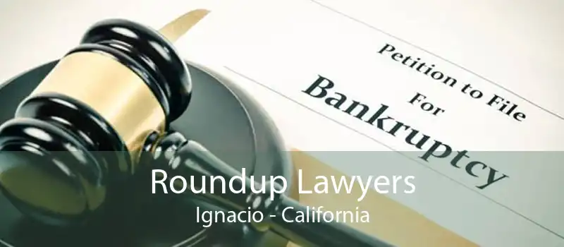 Roundup Lawyers Ignacio - California