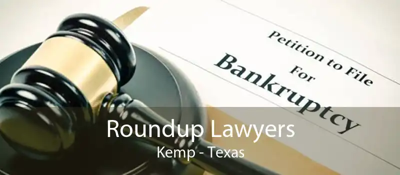 Roundup Lawyers Kemp - Texas