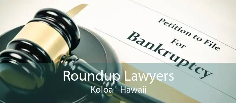 Roundup Lawyers Koloa - Hawaii