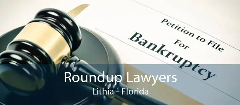 Roundup Lawyers Lithia - Florida