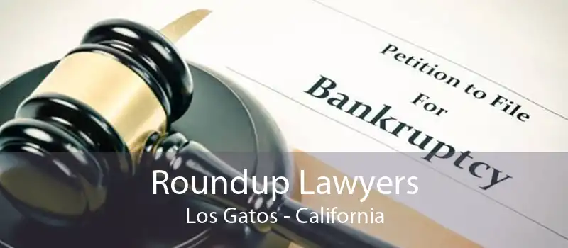 Roundup Lawyers Los Gatos - California