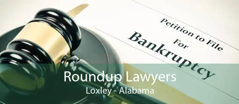 Roundup Lawyers Loxley - Alabama