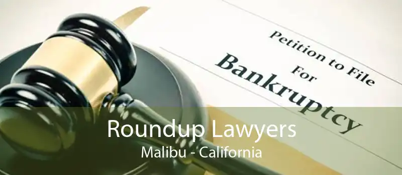 Roundup Lawyers Malibu - California
