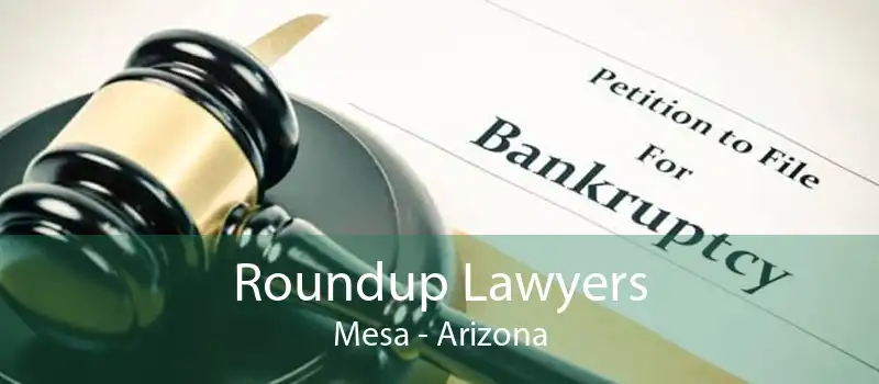 Roundup Lawyers Mesa - Arizona