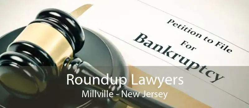 Roundup Lawyers Millville - New Jersey