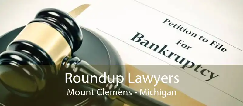 Roundup Lawyers Mount Clemens - Michigan