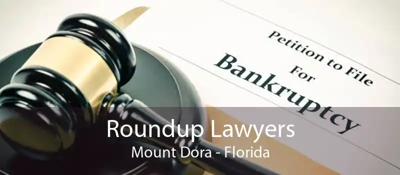 Roundup Lawyers Mount Dora - Florida