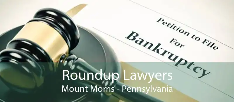 Roundup Lawyers Mount Morris - Pennsylvania