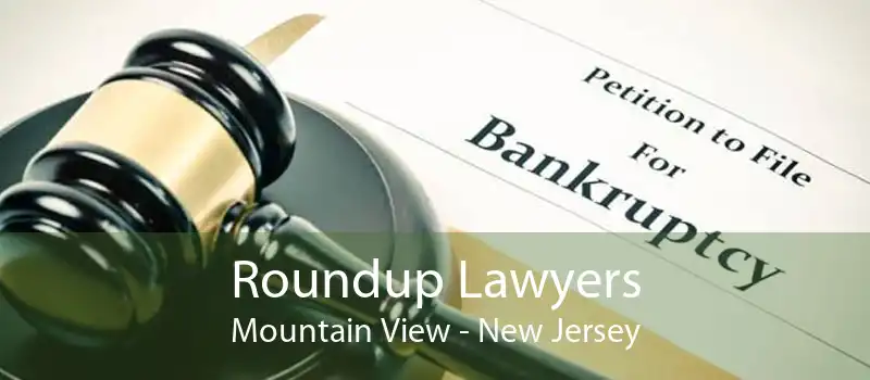 Roundup Lawyers Mountain View - New Jersey