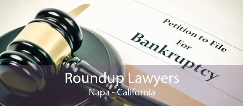 Roundup Lawyers Napa - California