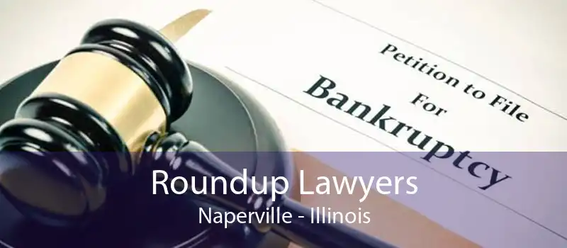 Roundup Lawyers Naperville - Illinois