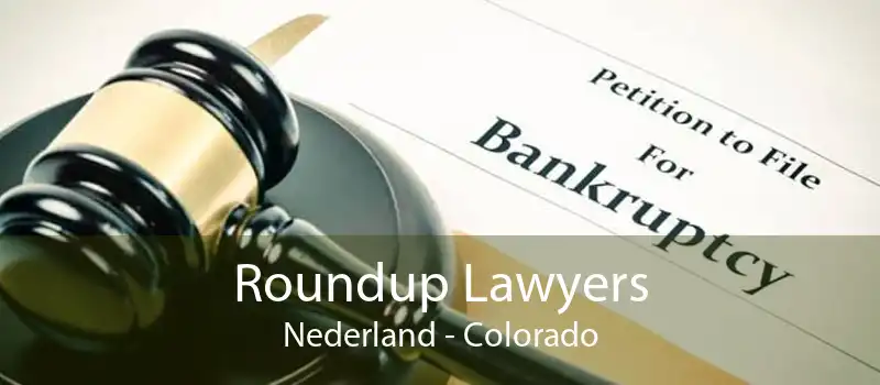 Roundup Lawyers Nederland - Colorado