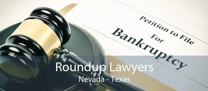 Roundup Lawyers Nevada - Texas