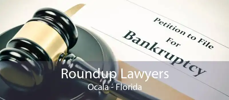 Roundup Lawyers Ocala - Florida