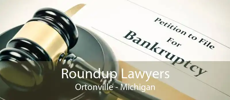 Roundup Lawyers Ortonville - Michigan