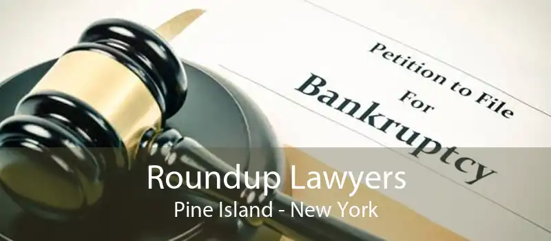 Roundup Lawyers Pine Island - New York
