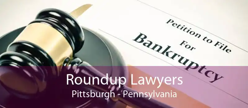 Roundup Lawyers Pittsburgh - Pennsylvania