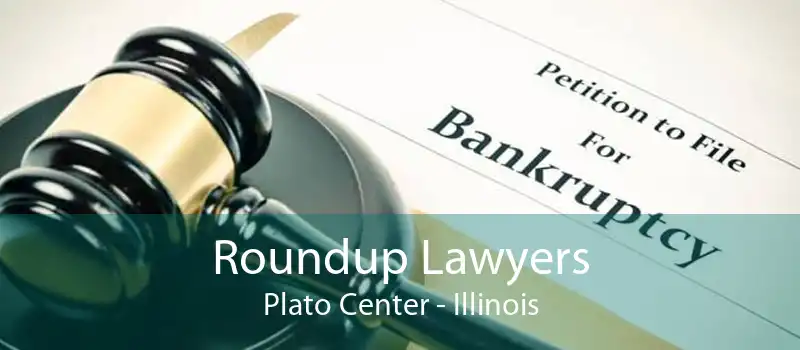 Roundup Lawyers Plato Center - Illinois